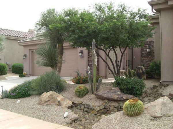 Front Yard Desert Landscaping Ideas on a Budget